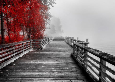 Fall Walkway White Modern Wood Framed Art Print with Double Matting by Kostka, Vladimir