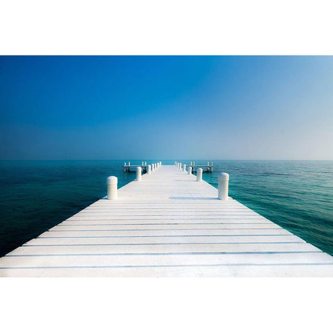The  Pier Black Modern Wood Framed Art Print by Kostka, Vladimir