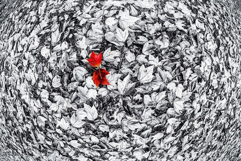 Together Black Ornate Wood Framed Art Print with Double Matting by Kostka, Vladimir