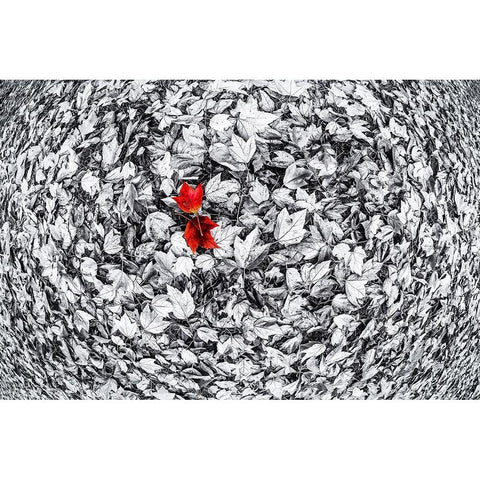 Together Black Modern Wood Framed Art Print by Kostka, Vladimir