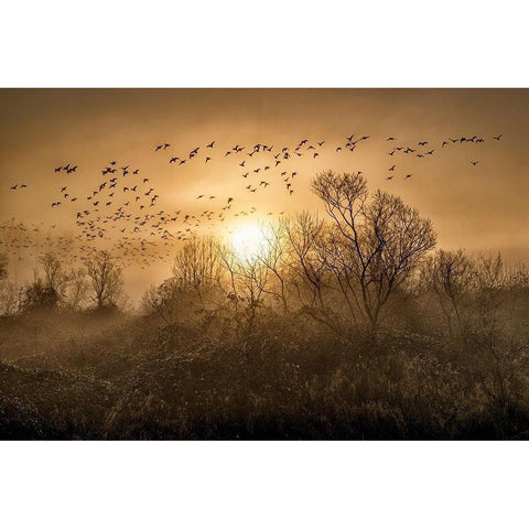 The Flight Black Modern Wood Framed Art Print by Kostka, Vladimir