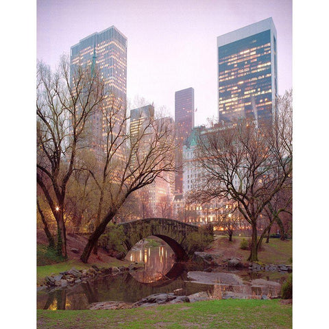 Central Park, NYC Gold Ornate Wood Framed Art Print with Double Matting by Klug, Alan