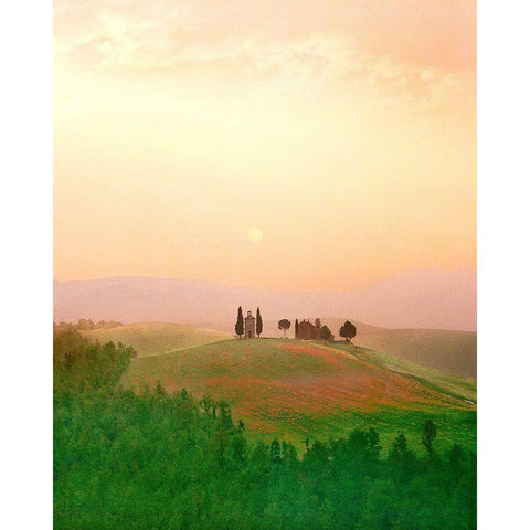 Toscana, Italia No. 717 Gold Ornate Wood Framed Art Print with Double Matting by Klug, Alan