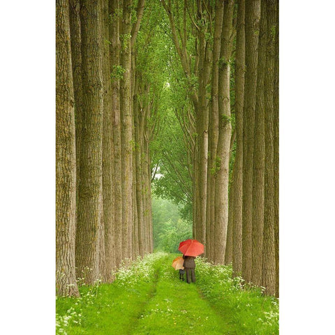 Two Umbrellas, Belgium Black Modern Wood Framed Art Print with Double Matting by Klug, Alan