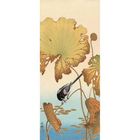 Japanese Wagtail on Lotus Plant, 1925-1936 White Modern Wood Framed Art Print by Koson, Ohara