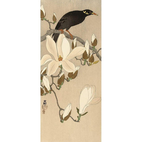 Myna on Magnolia Branch, 1900-1910 Gold Ornate Wood Framed Art Print with Double Matting by Koson, Ohara