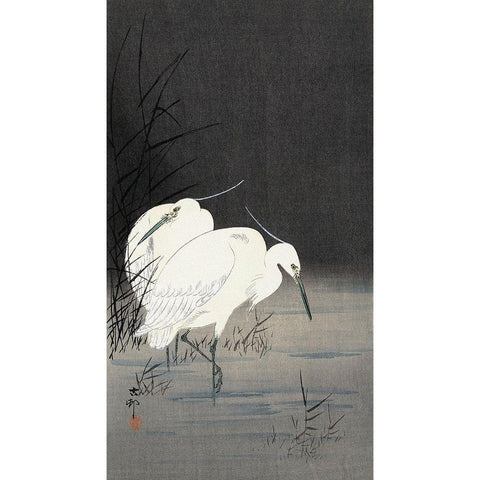 Two Egrets in the Reeds, 1900-1930 White Modern Wood Framed Art Print by Koson, Ohara