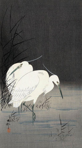 Two Egrets in the Reeds, 1900-1930 Black Ornate Wood Framed Art Print with Double Matting by Koson, Ohara
