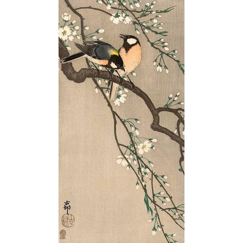 Songbirds on Cherry Branch, 1900-1910 White Modern Wood Framed Art Print by Koson, Ohara