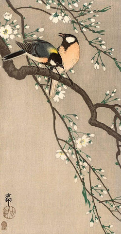 Songbirds on Cherry Branch, 1900-1910 Black Ornate Wood Framed Art Print with Double Matting by Koson, Ohara