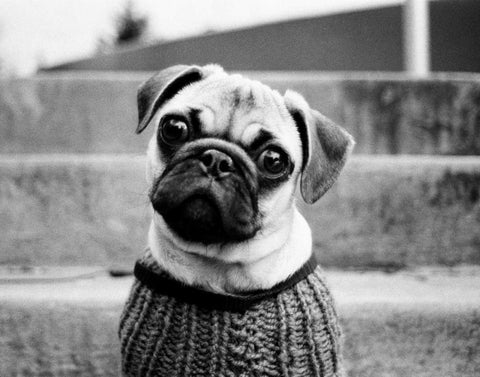 Cleo Black Ornate Wood Framed Art Print with Double Matting by Levin, Kim