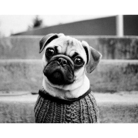 Cleo Black Modern Wood Framed Art Print with Double Matting by Levin, Kim