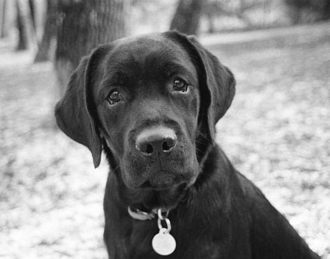 Zoey White Modern Wood Framed Art Print with Double Matting by Levin, Kim