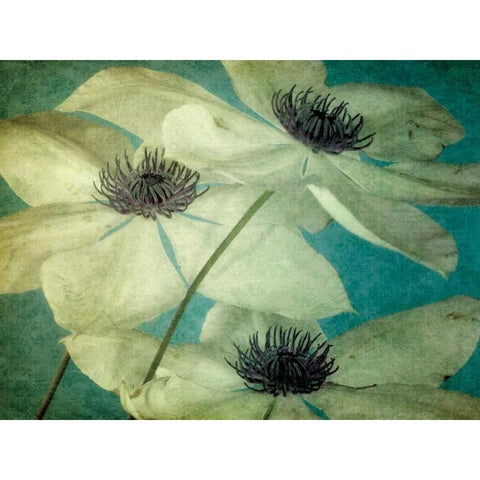 Klema White Modern Wood Framed Art Print by LeBlanc, Dawn