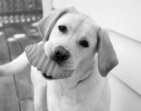 Blue White Modern Wood Framed Art Print with Double Matting by Levin, Kim