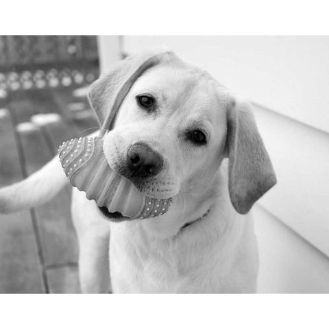 Blue White Modern Wood Framed Art Print by Levin, Kim