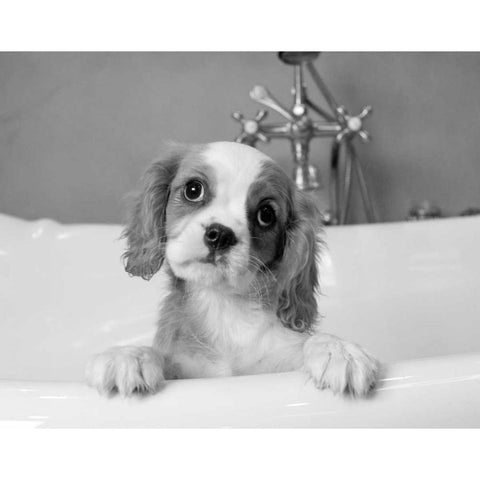 Lulu Black Modern Wood Framed Art Print with Double Matting by Levin, Kim