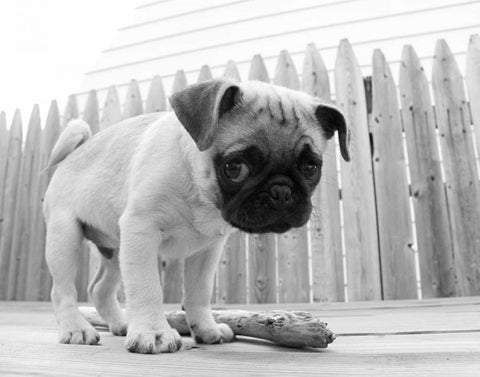 Bentley White Modern Wood Framed Art Print with Double Matting by Levin, Kim