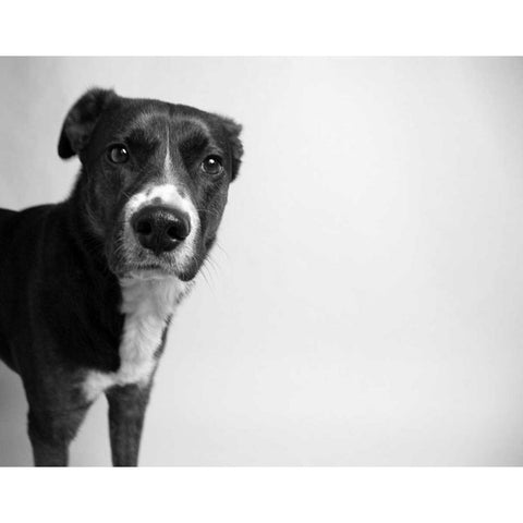 Reilly Black Modern Wood Framed Art Print with Double Matting by Levin, Kim