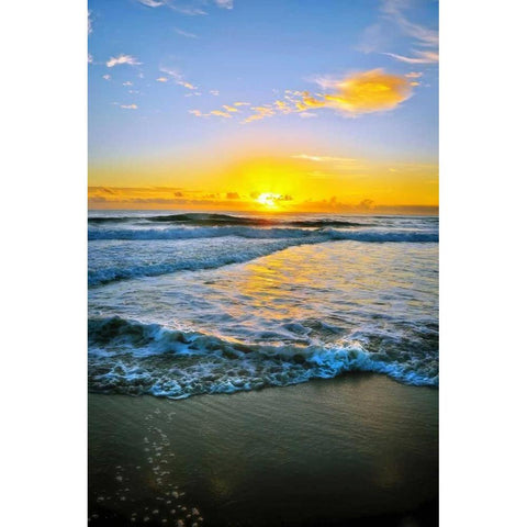 Twin Waters Down Gold Ornate Wood Framed Art Print with Double Matting by Louise, Tracie
