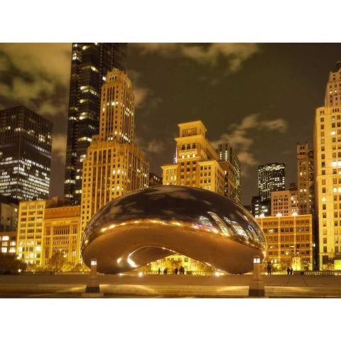 Bean at Night Black Modern Wood Framed Art Print by Levant, Jessica