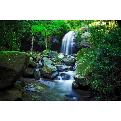Hows The Serenity White Modern Wood Framed Art Print by Louise, Tracie