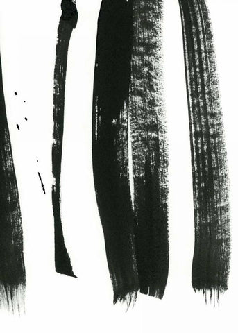 Black on White 3 Black Ornate Wood Framed Art Print with Double Matting by Lehnhardt, Iris
