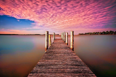 Pink Pier Black Ornate Wood Framed Art Print with Double Matting by Louise, Tracie