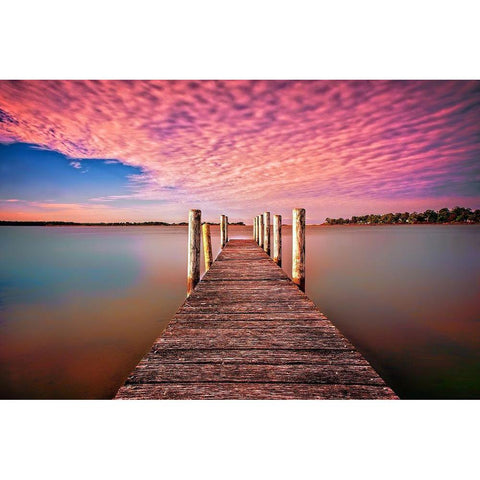 Pink Pier White Modern Wood Framed Art Print by Louise, Tracie
