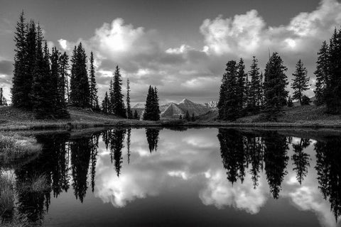 Paradise Reflection White Modern Wood Framed Art Print with Double Matting by Leacock, J.C.