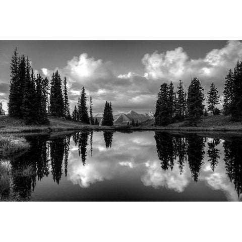Paradise Reflection Black Modern Wood Framed Art Print by Leacock, J.C.