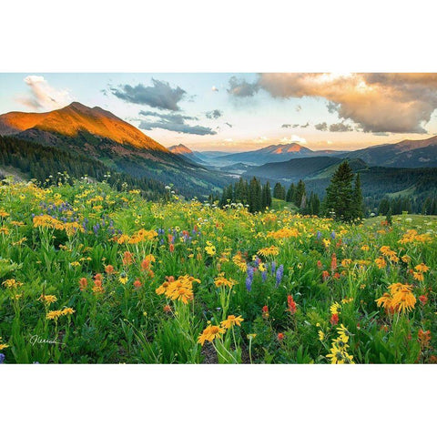Wash Gulch Wild Gold Ornate Wood Framed Art Print with Double Matting by Leacock, J.C.