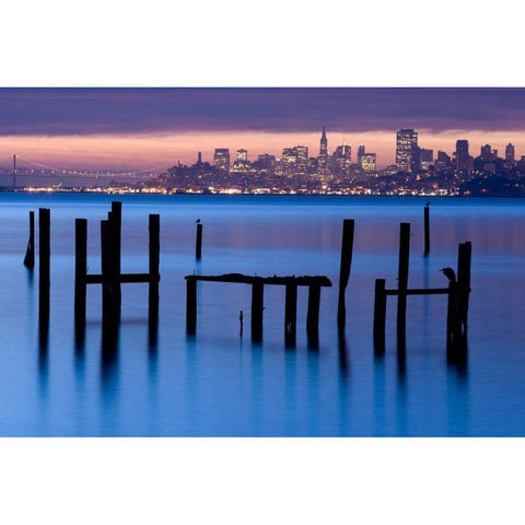 Bay Pilings  Sausalito Black Modern Wood Framed Art Print with Double Matting by Murray, Jeffrey