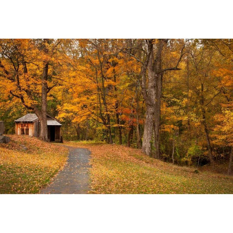 Autumn Home Black Modern Wood Framed Art Print with Double Matting by Mikaels, Natalie