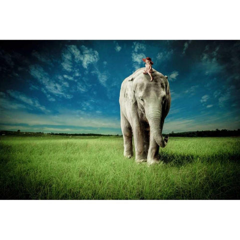 Elephant Carry Me White Modern Wood Framed Art Print by Madison, Jeff