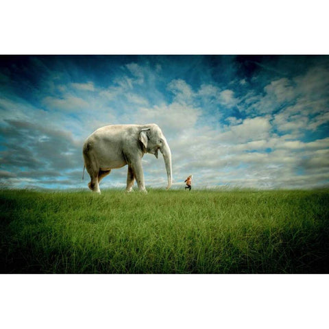 Elephant Follow Me Black Modern Wood Framed Art Print with Double Matting by Madison, Jeff