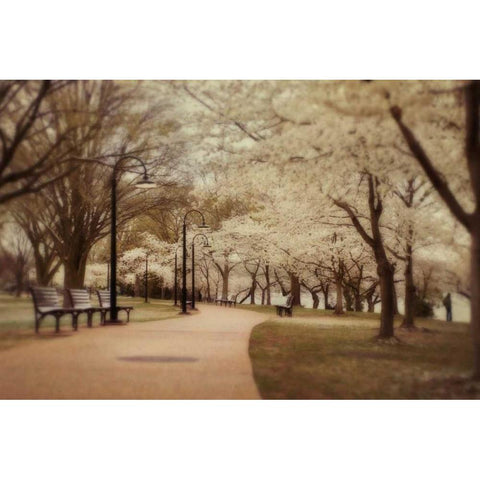 Springtime Stroll Gold Ornate Wood Framed Art Print with Double Matting by Mikaels, Natalie