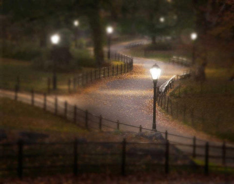 Twilight Stroll White Modern Wood Framed Art Print with Double Matting by Mikaels, Natalie