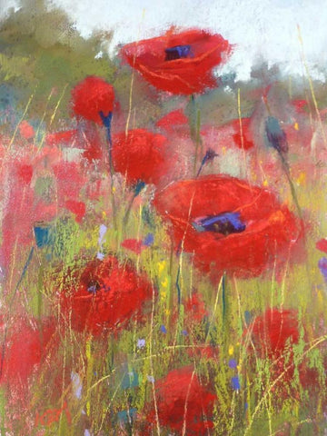In the Poppy Field White Modern Wood Framed Art Print with Double Matting by Margulis, Karen