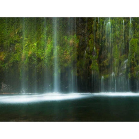 Paradise Black Modern Wood Framed Art Print with Double Matting by Mikaels, Natalie
