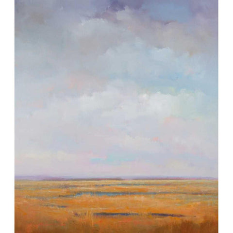 Midday Marsh Black Modern Wood Framed Art Print by McCarthy, William