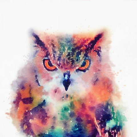 The Wise II White Modern Wood Framed Art Print by Maldonado, Jacqueline