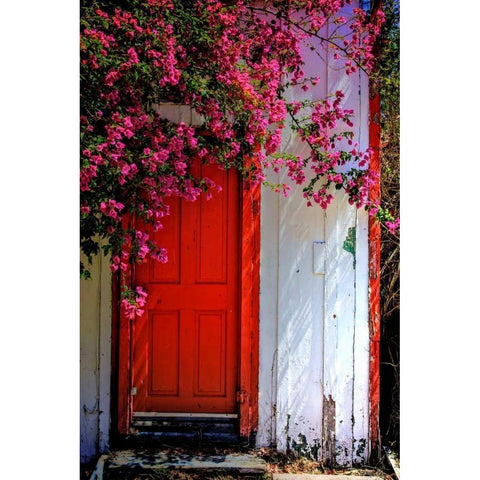 Red Door Gold Ornate Wood Framed Art Print with Double Matting by Mayo, Dean