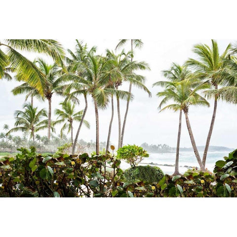 After the Dorado Rain Black Modern Wood Framed Art Print by Miamee, Golie