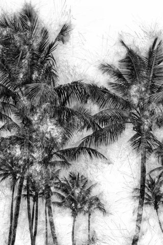 Dorado Palms 1 Black Ornate Wood Framed Art Print with Double Matting by Miamee, Golie