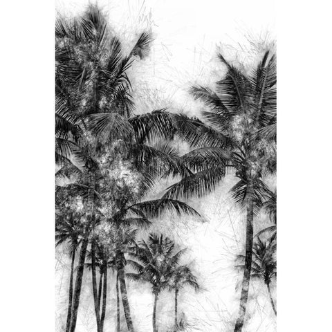 Dorado Palms 1 White Modern Wood Framed Art Print by Miamee, Golie