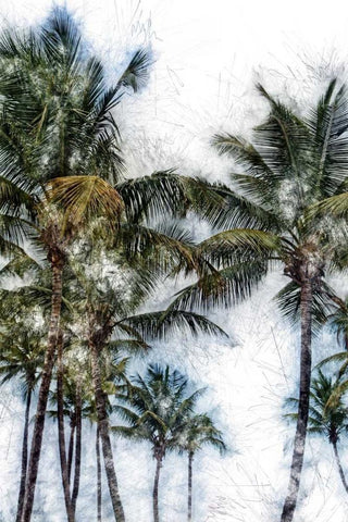 Dorado Palms 2 White Modern Wood Framed Art Print with Double Matting by Miamee, Golie