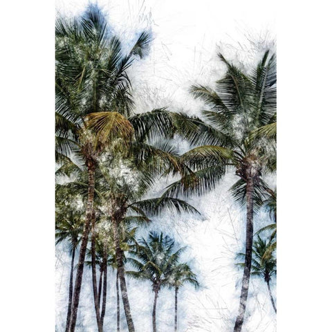 Dorado Palms 2 Black Modern Wood Framed Art Print by Miamee, Golie