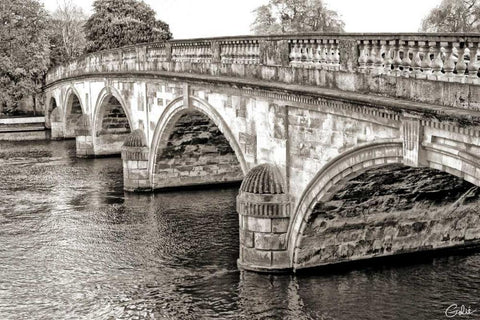 Henley-on-Thames Black Ornate Wood Framed Art Print with Double Matting by Miamee, Golie
