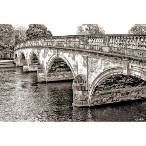 Henley-on-Thames Gold Ornate Wood Framed Art Print with Double Matting by Miamee, Golie